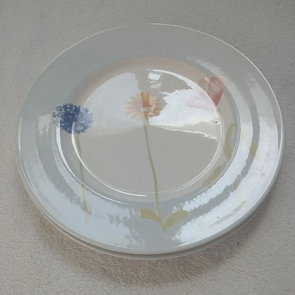 Royal Stafford Watercolour Fine Earthenware Dinner Plate Floral Pastel 2x 11
